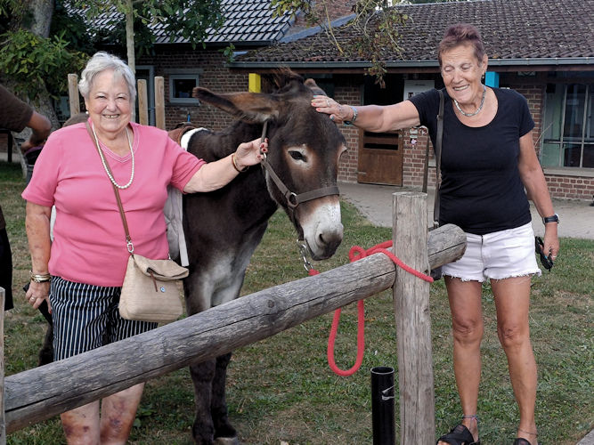 Foto's intergenerationneelkamp - 8/2025 - Photos du camp interg&eacute;n&eacute;rationnel
